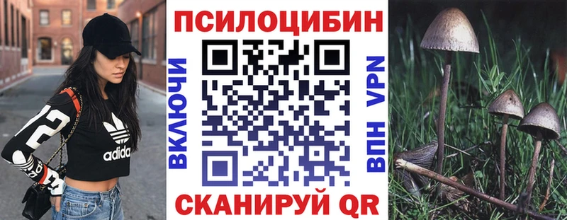 Псилоцибиновые грибы Psilocybe Казань
